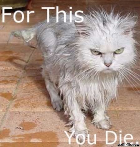 For This You Die