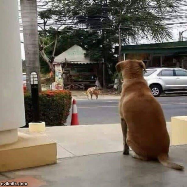 Forever Alone
