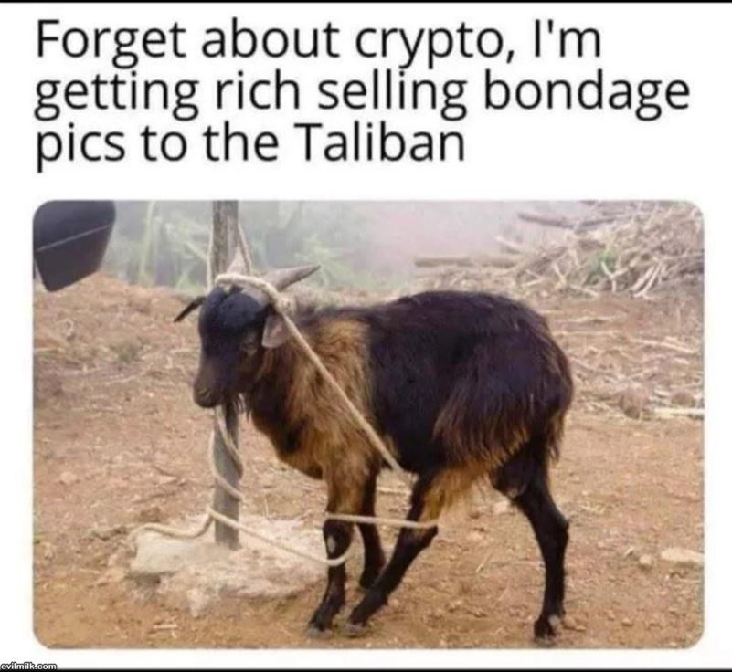 Forget Crypto