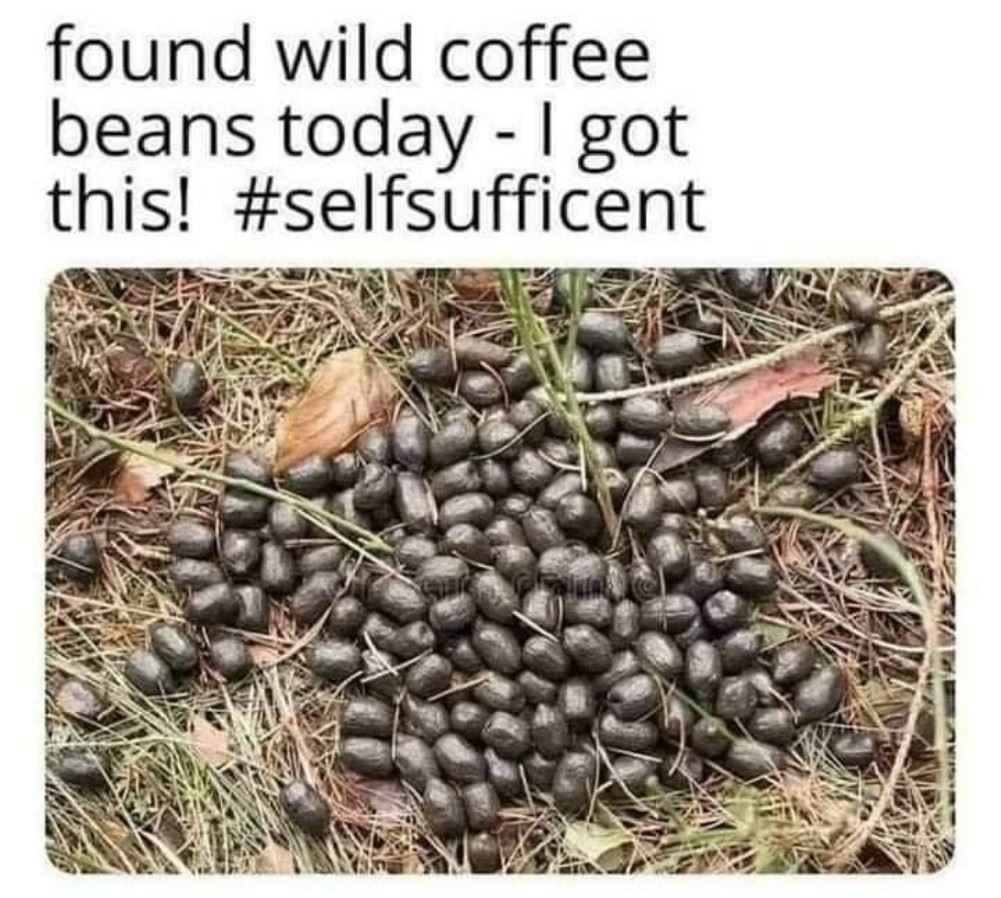 Found Some Wild Coffee