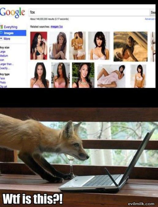 Fox