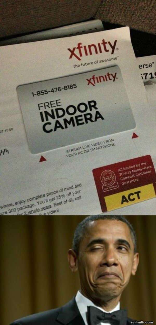 Free Camera