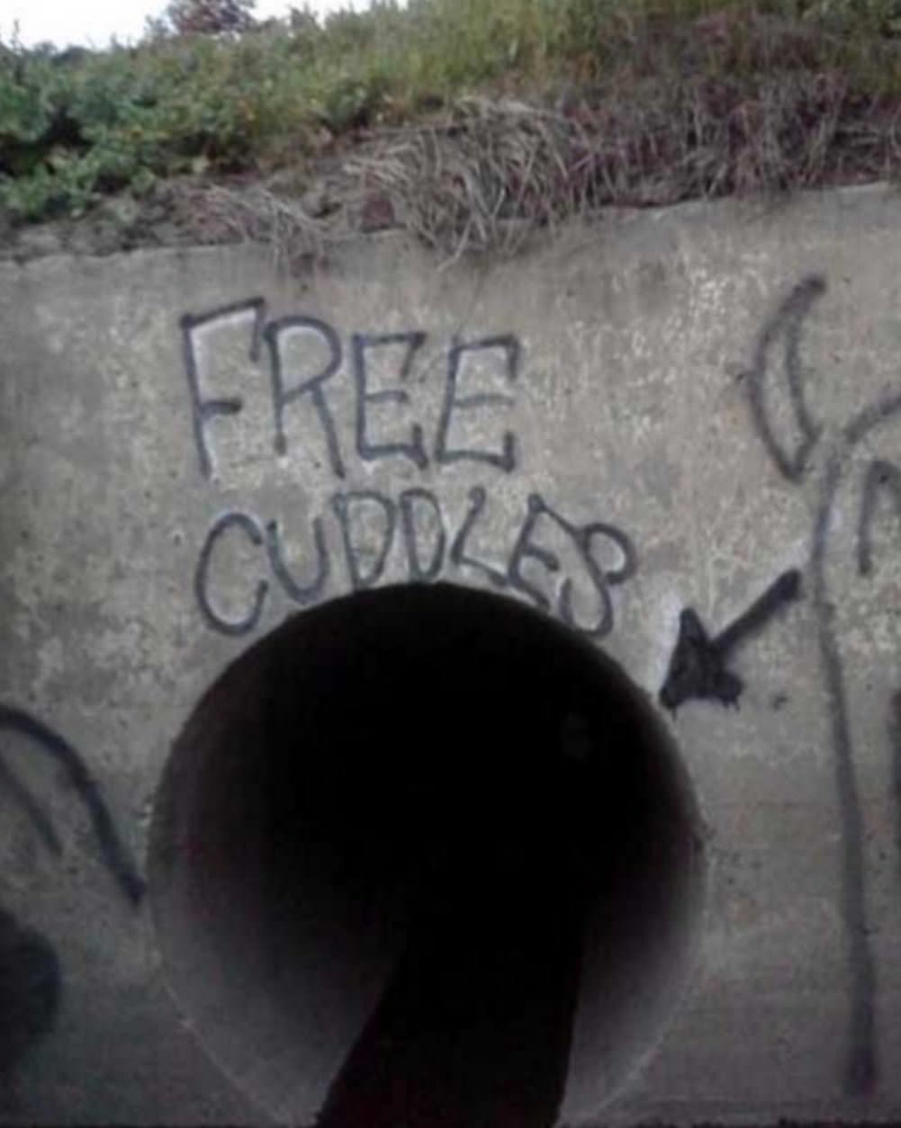 Free Cuddles
