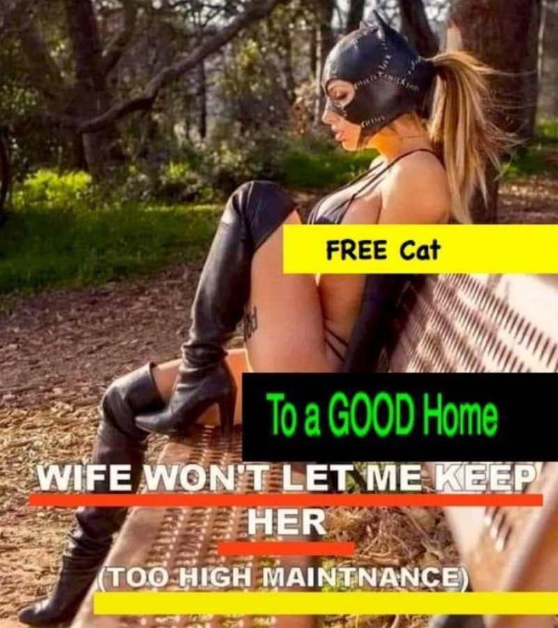 Free_To_A_Good_Home2216.jpg