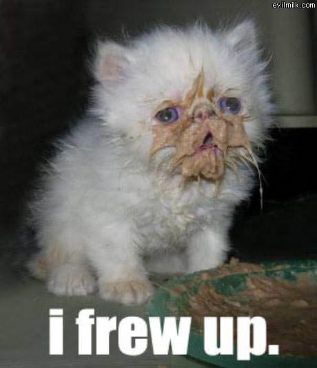 Frew Up