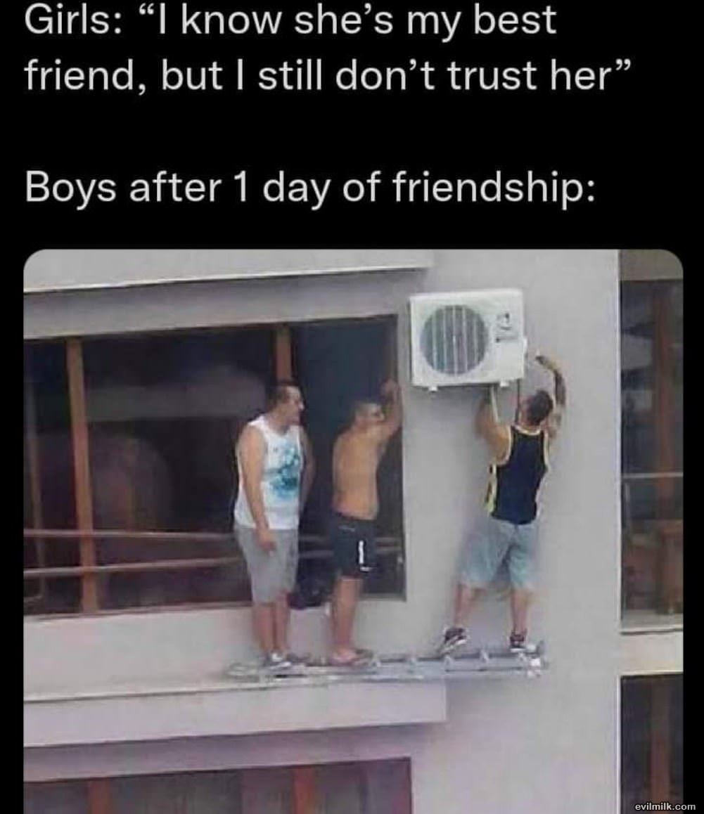 Friendships