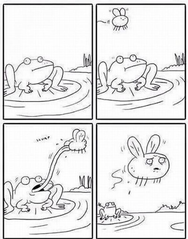 Froggy