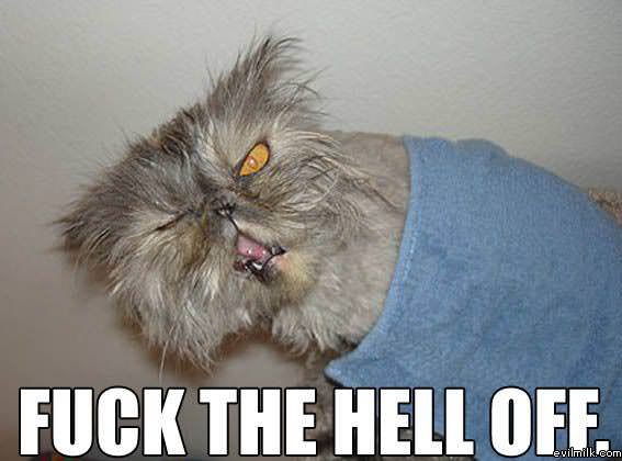 Fuck Off