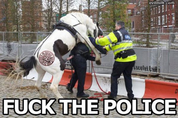 Fuck The Police