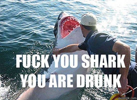 Fuck You Shark