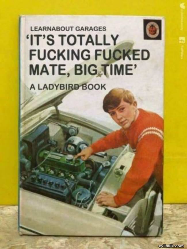 Fucked Big Time