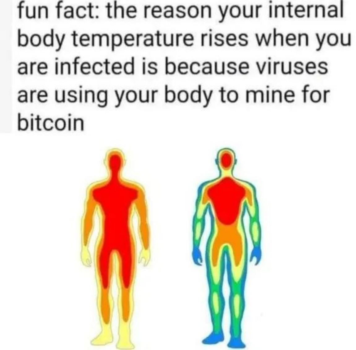 Fun Fact
