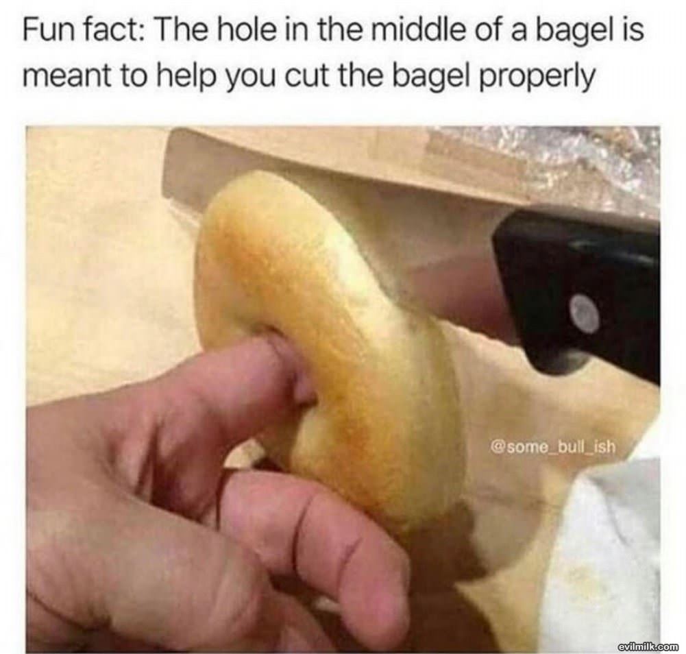 Fun Fact