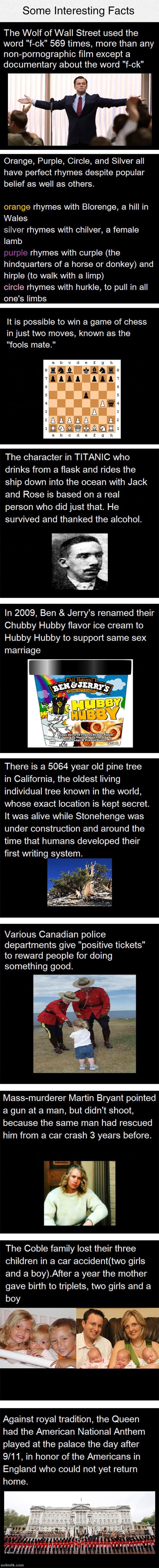 Fun Facts