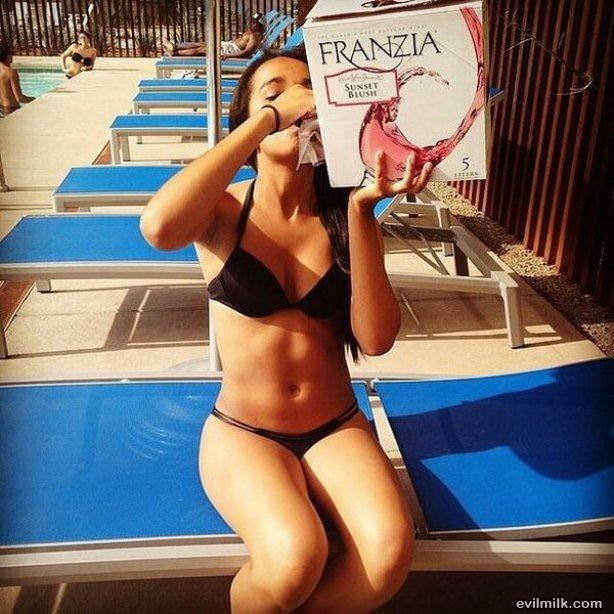 Fun Summer Day