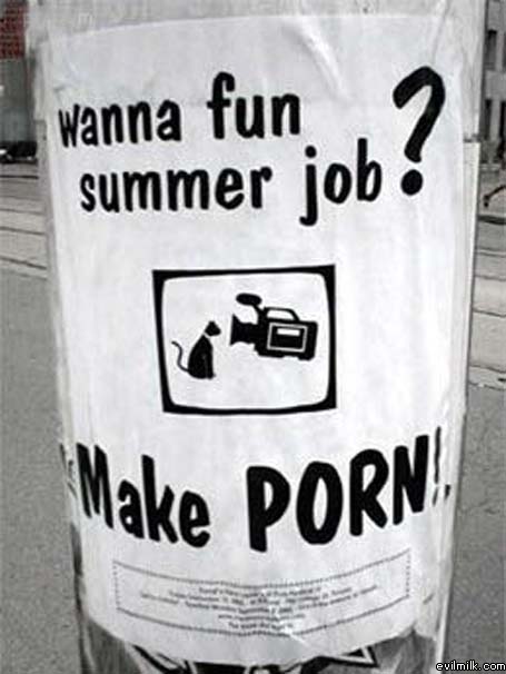 Fun Summer Job