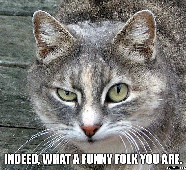 Funny Folk