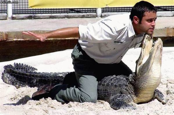 Gator Moron
