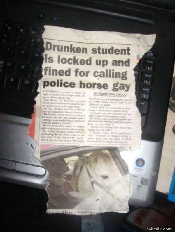 Gay Horse