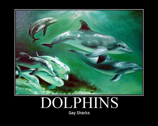 Gay Sharks