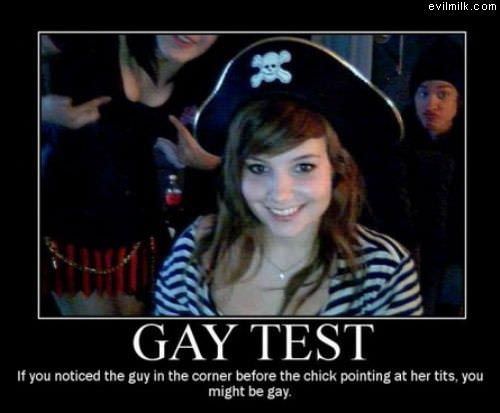 Gay Test