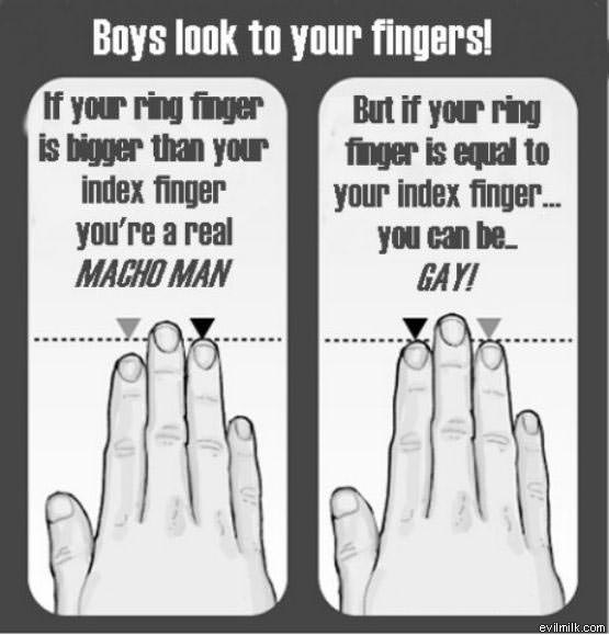 Gay Test