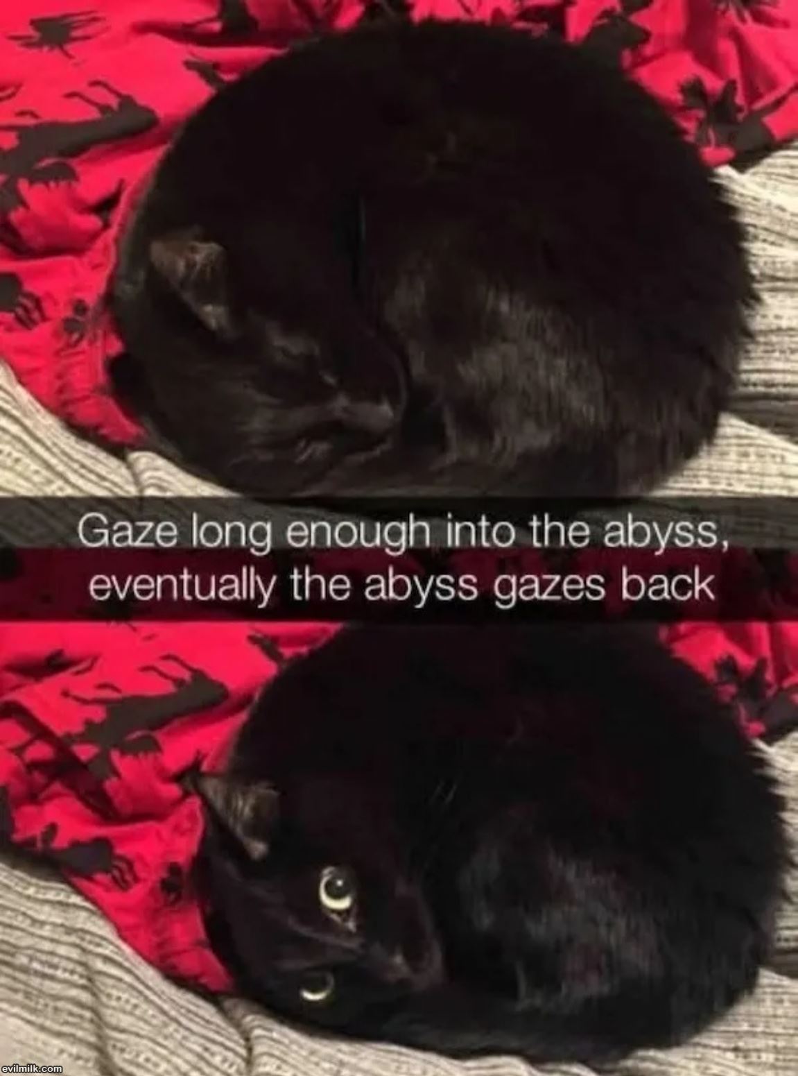 Gaze Long Enough