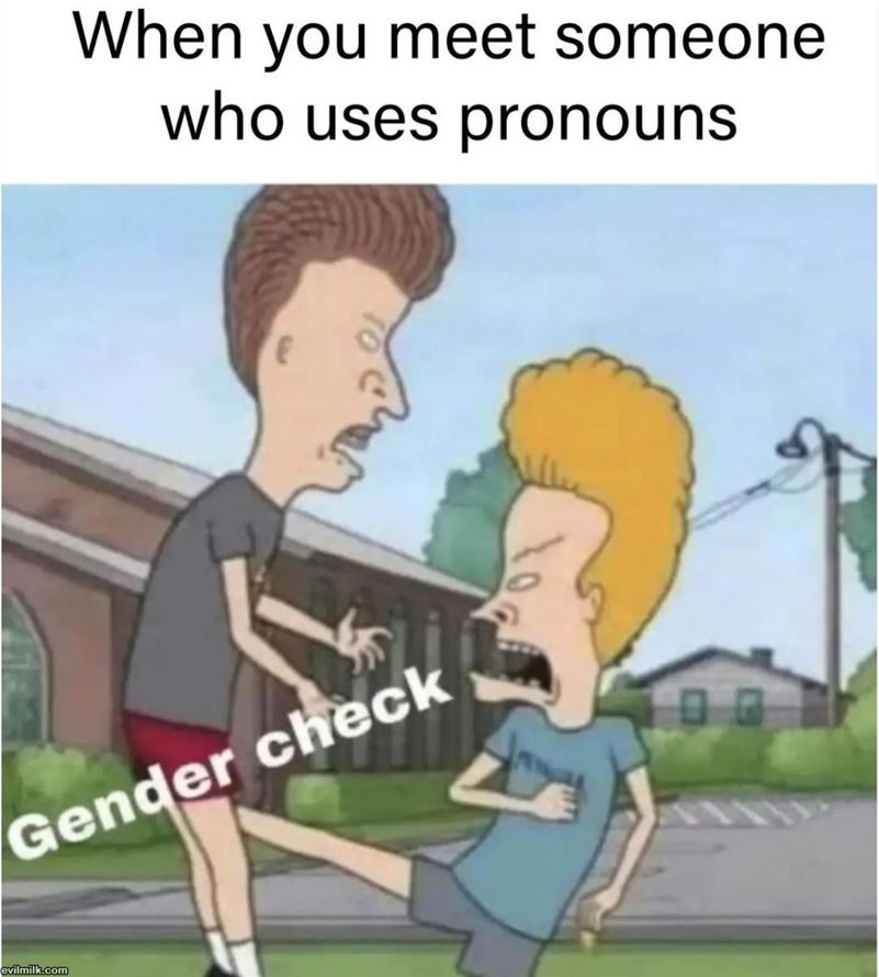 Gender Checker