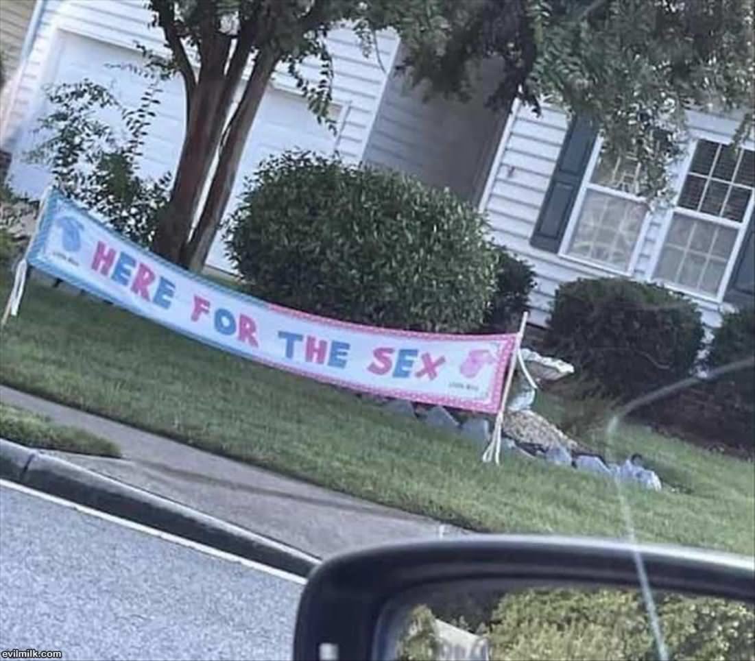 Gender Reveal