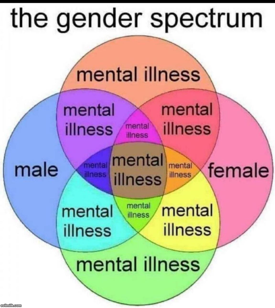 Gender Spectrum
