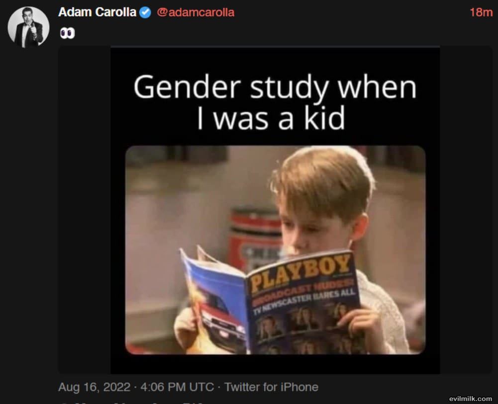 Gender Studies