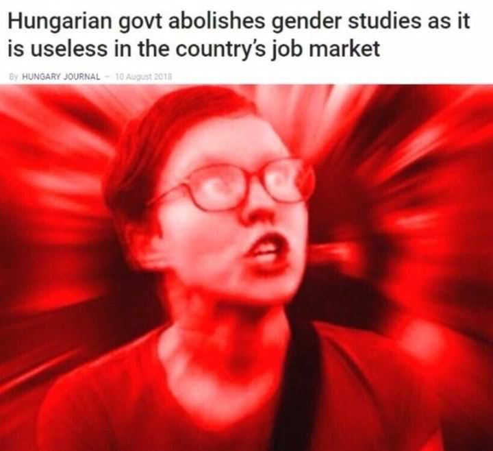 Gender Studies