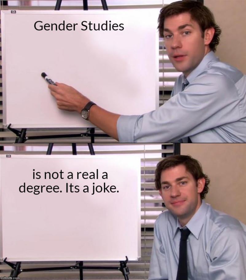 Gender Studies