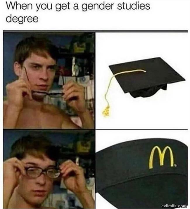 Gender Studies Degree