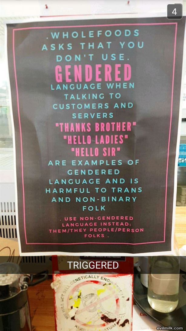 Gendered-language