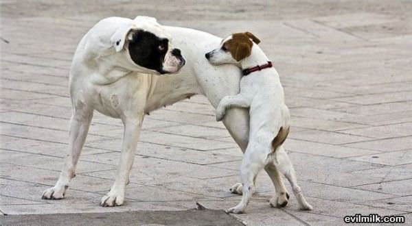 Get Off Me