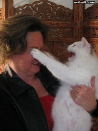 Get Off Me Lady