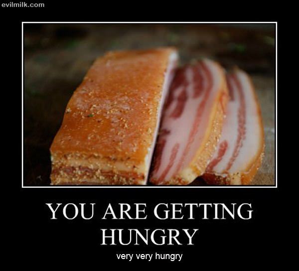 Getting Hungry
