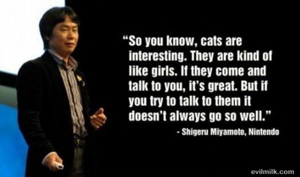 Girls Are Like Cats