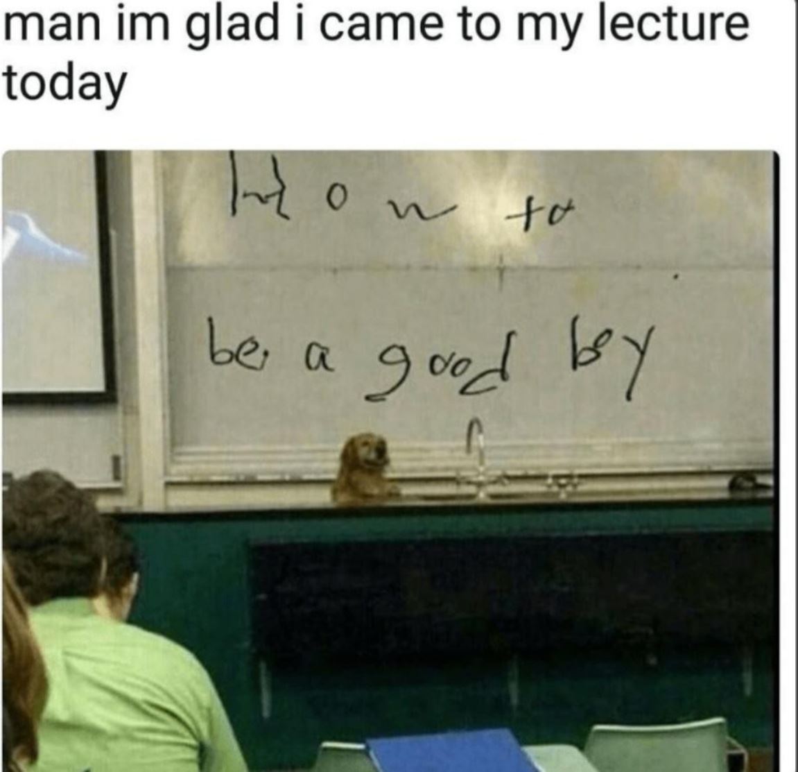 Glad I Came