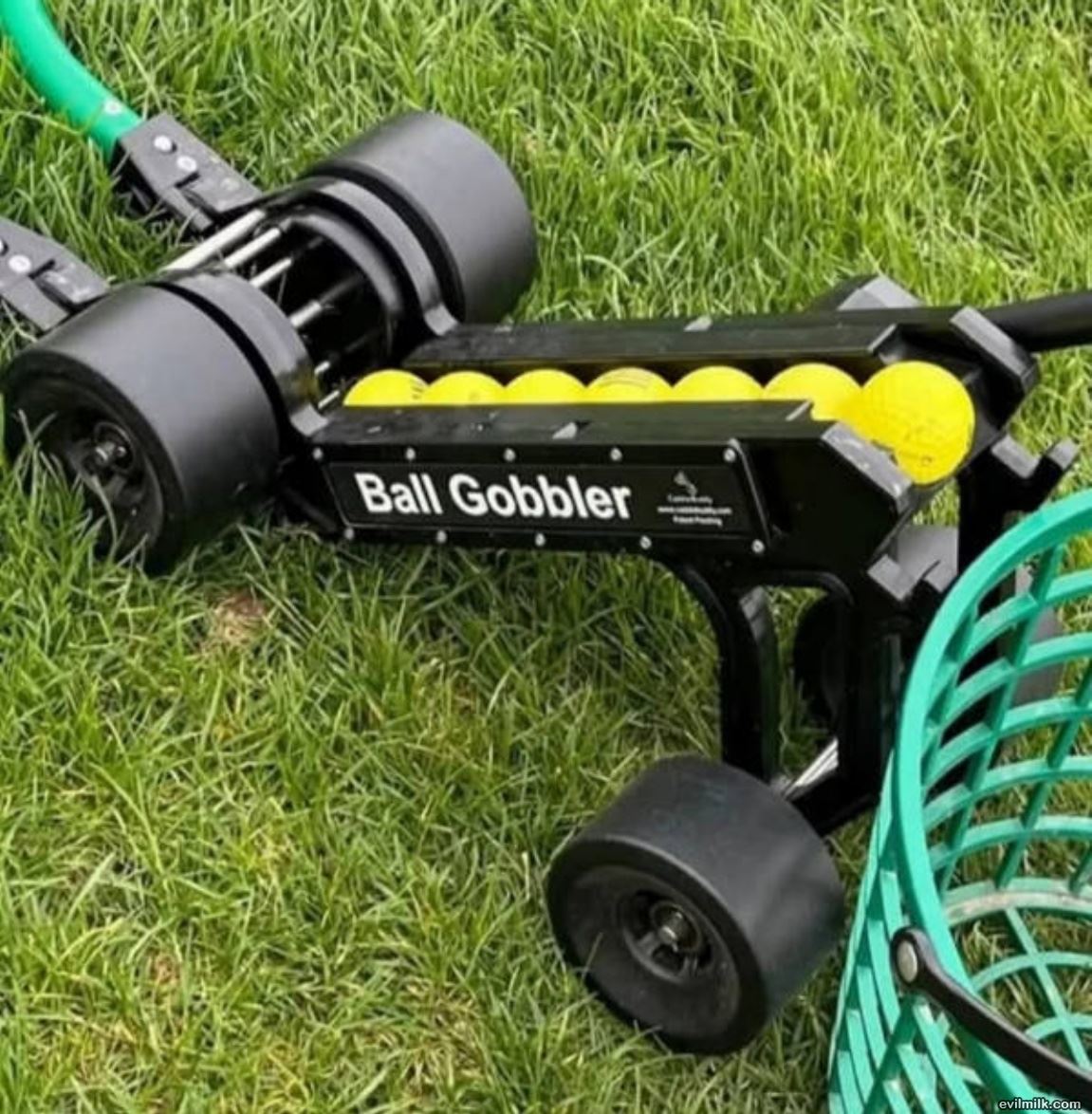 Gobbler Like Your Mom
