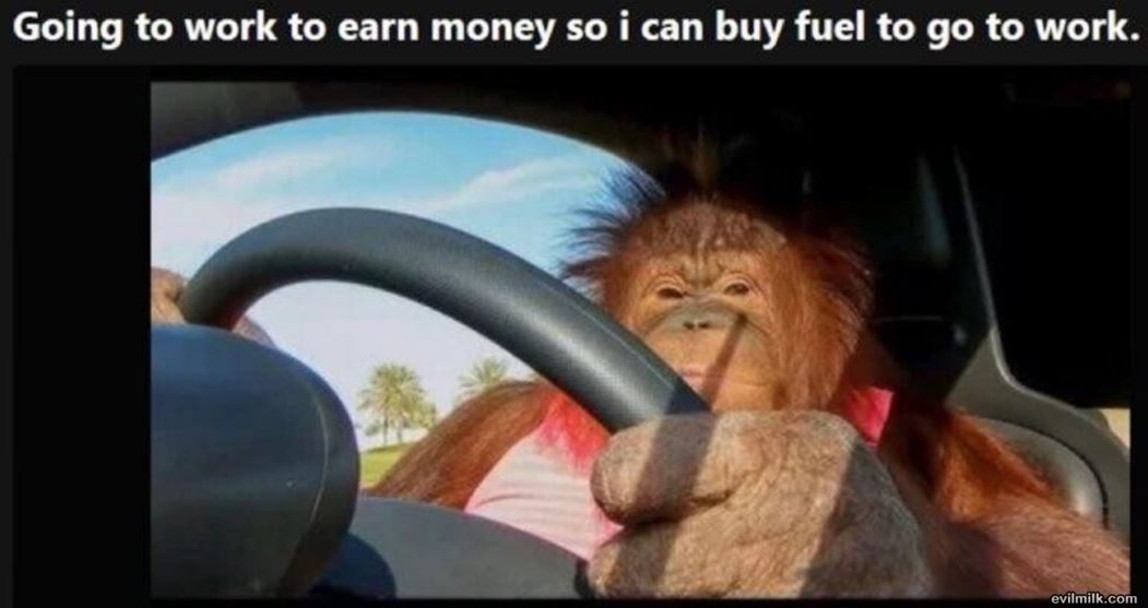 Going To Work