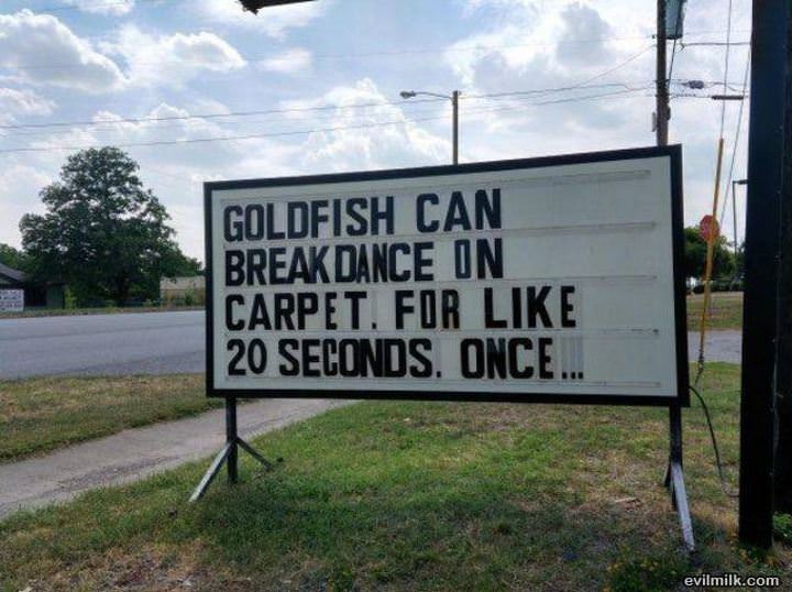 Goldfish Can Breakdance