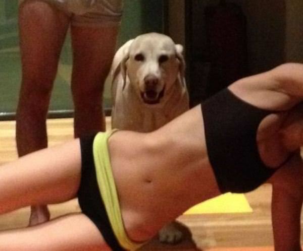 Good Dog