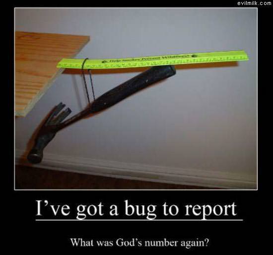 Got A Bug