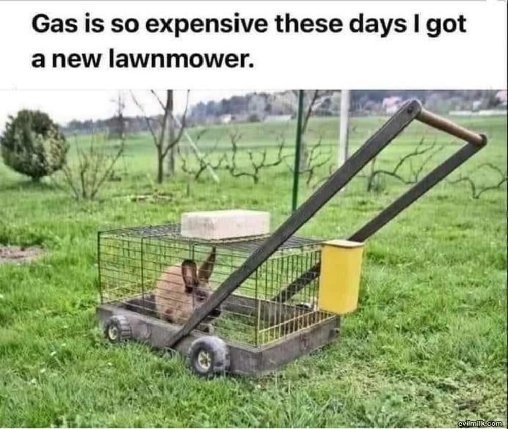 Got A New Lawnmower
