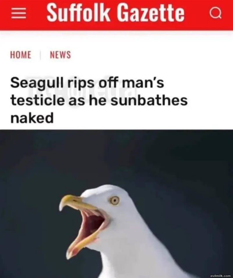 Got Him
