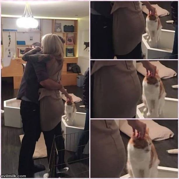Got Himself Some Pussy