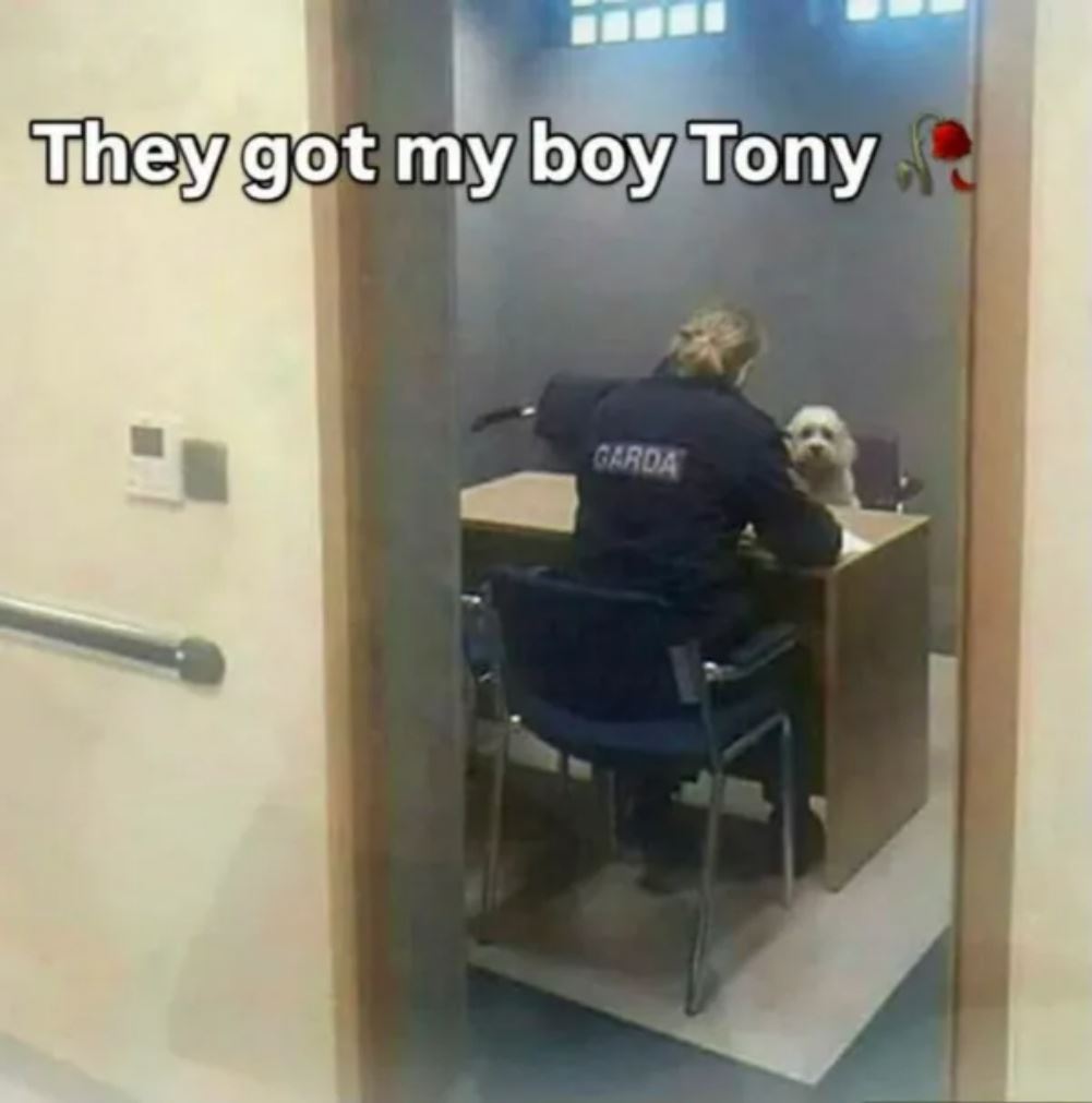 Got My Boy