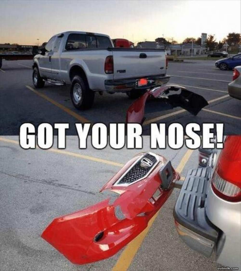 Got Your Nose